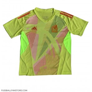 Mexiko Torwart Replik Heimtrikot Copa America 2024 Kurzarm